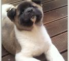 2012-09-28 09 10 32.jpg